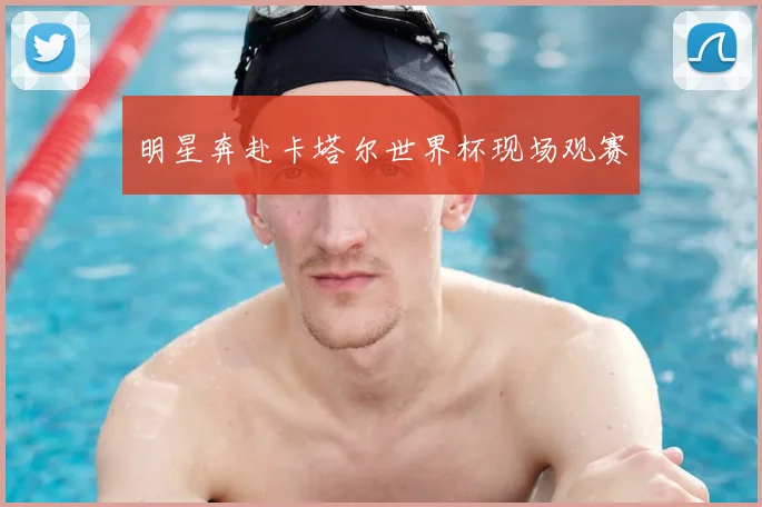 明星奔赴卡塔尔世界杯现场观赛
