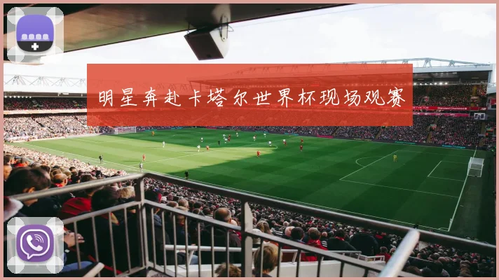 明星奔赴卡塔尔世界杯现场观赛