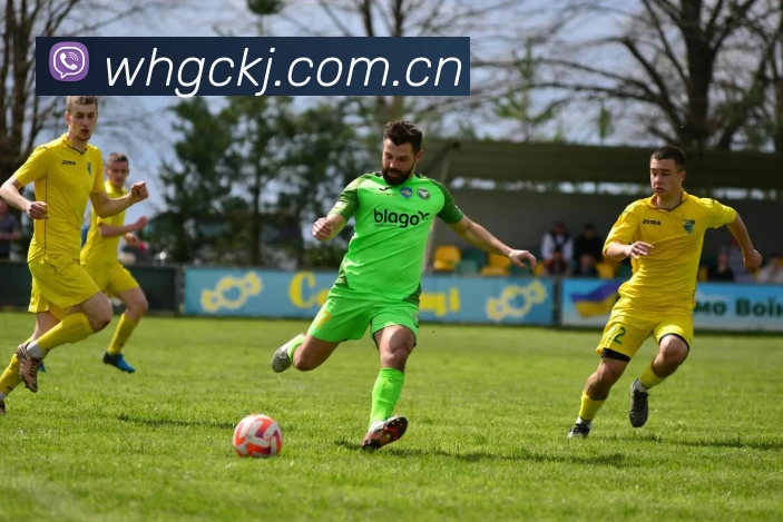 App Interface Preview